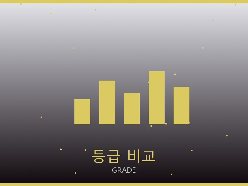 아크네 스튜디오 레플리카 사이트 등급 기준 비교